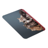 Magnet Flexible Groupe de Kittens (Côté Droit)