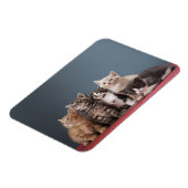 Magnet Flexible Groupe de Kittens (Côté Gauche)