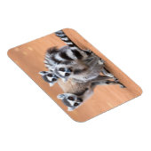 Magnet Flexible Groupe de lémuriens à cordon (Côté Droit)