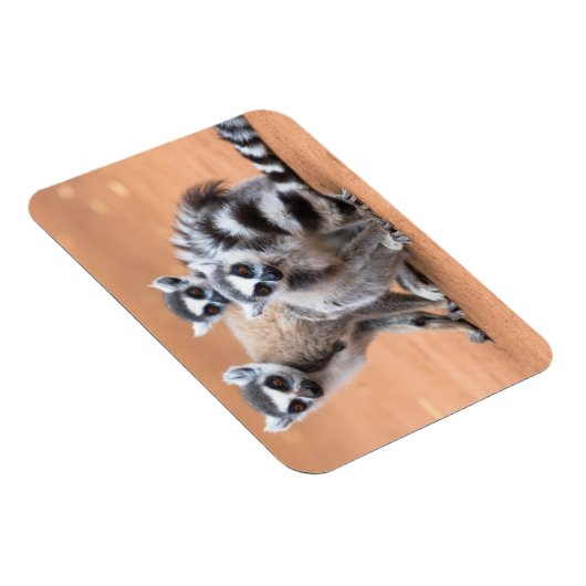 Magnet Flexible Groupe de lémuriens à cordon (Côté Droit)