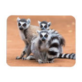 Magnet Flexible Groupe de lémuriens à cordon (Horizontal)