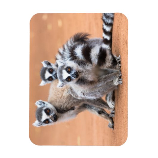 Magnet Flexible Groupe de lémuriens à cordon (Vertical)