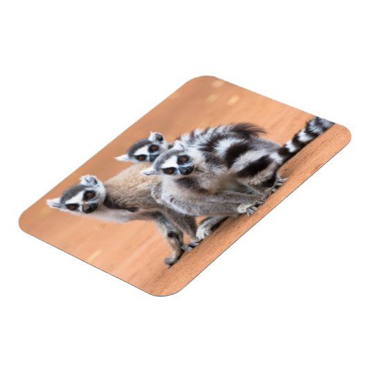 Magnet Flexible Groupe de lémuriens à cordon (Côté Gauche)