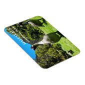 Magnet Flexible Groupe de Nēnê, Parc national Haleakalā, Maui, HI (Côté Droit)