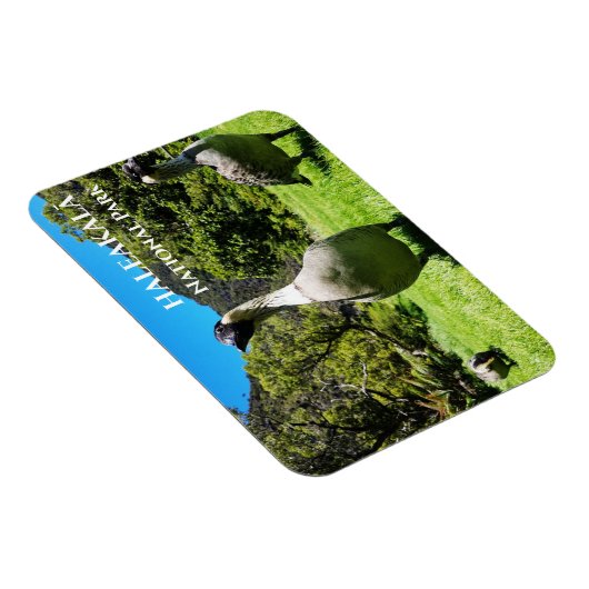 Magnet Flexible Groupe de Nēnê, Parc national Haleakalā, Maui, HI (Côté Droit)