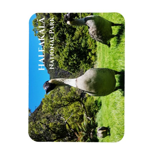 Magnet Flexible Groupe de Nēnê, Parc national Haleakalā, Maui, HI (Vertical)