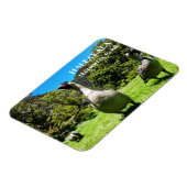 Magnet Flexible Groupe de Nēnê, Parc national Haleakalā, Maui, HI (Côté Gauche)