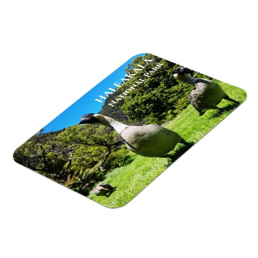 Magnet Flexible Groupe de Nēnê, Parc national Haleakalā, Maui, HI (Côté Gauche)