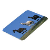 Magnet Flexible Groupe des Arabes (Côté Gauche)