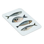 Magnet Flexible Groupe des quatre poissons (Côté Droit)