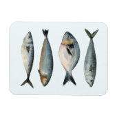 Magnet Flexible Groupe des quatre poissons (Horizontal)