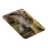 Magnet Flexible Groupement fier (Côté Droit)