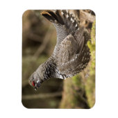 Magnet Flexible Groupement fier (Vertical)