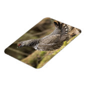 Magnet Flexible Groupement fier (Côté Gauche)