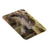 Magnet Flexible Groupement fier (Côté Droit)