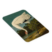 Magnet Flexible Grue blanche Audubon Peinture d'oiseaux (Côté Droit)