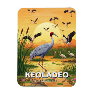 Magnet Flexible Grue dans le parc national de Keoladeo, voyage en