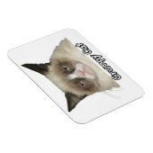 Magnet Flexible Grumpy Cat 3x4 Aimant flexible (Côté Droit)