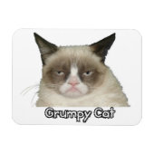 Magnet Flexible Grumpy Cat 3x4 Aimant flexible (Horizontal)