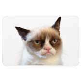 Magnet Flexible Grumpy chat aimant flexible (Horizontal)