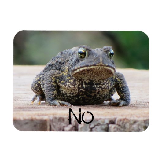 Magnet Flexible Grumpy Old Toad (Horizontal)