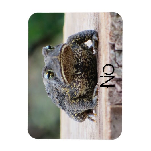 Magnet Flexible Grumpy Old Toad (Vertical)