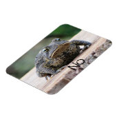 Magnet Flexible Grumpy Old Toad (Côté Gauche)