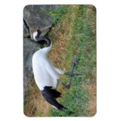Magnet Flexible Grus japonisis (Vertical)