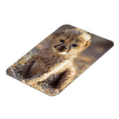 Magnet Flexible Guépard mâle âgé de 19 jours (Côté Gauche)