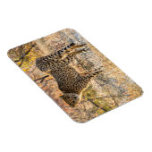 Magnet Flexible Guépard regardant autour (Côté Droit)