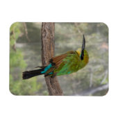 Magnet Flexible Guêpier arc-en-ciel, Australie (Horizontal)