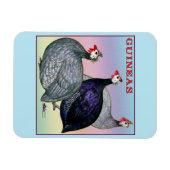 Magnet Flexible Guineas Trois Fowl (Horizontal)