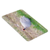 Magnet Flexible Guinée Fowl (Côté Droit)