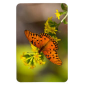 Magnet Flexible Gulf Fritillary aka Passion Butterfly on Goldenrod (Vertical)