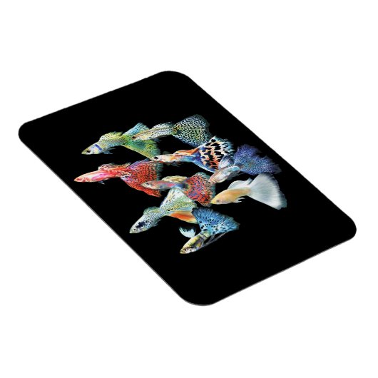 Magnet Flexible Guppies (Côté Droit)