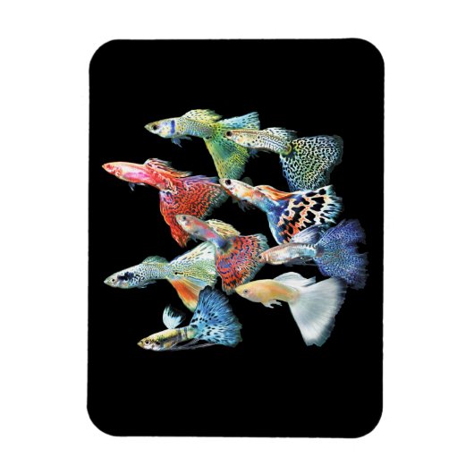 Magnet Flexible Guppies (Vertical)