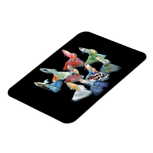Magnet Flexible Guppies (Côté Gauche)