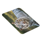 Magnet Flexible Gus - (Côté Droit)