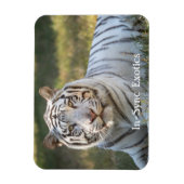 Magnet Flexible Gus - (Vertical)