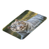 Magnet Flexible Gus - (Côté Gauche)