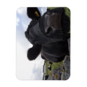 Magnet Flexible H.A.S. Arts Aimant de vache (Vertical)