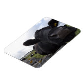 Magnet Flexible H.A.S. Arts Aimant de vache (Côté Gauche)