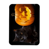 Magnet Flexible Halloween citrouille et chat noir (Vertical)