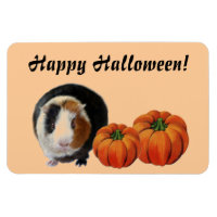Halloween du cochon de Guinée