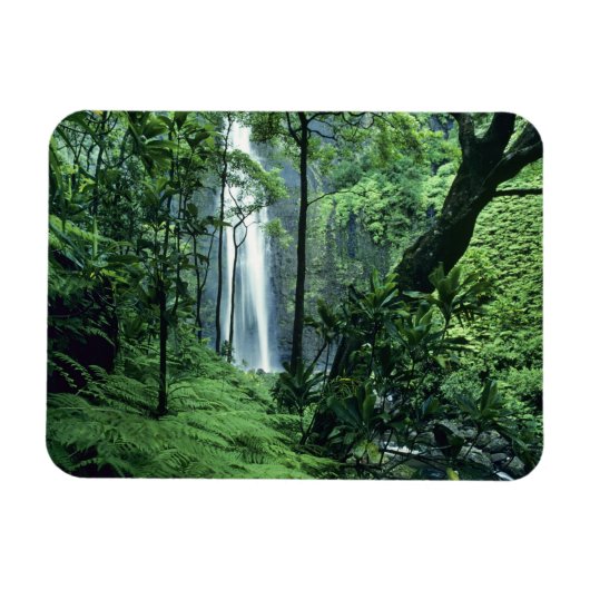 Magnet Flexible Hanakapiai Chutes le long de la côte Na Pali, Kaua (Horizontal)