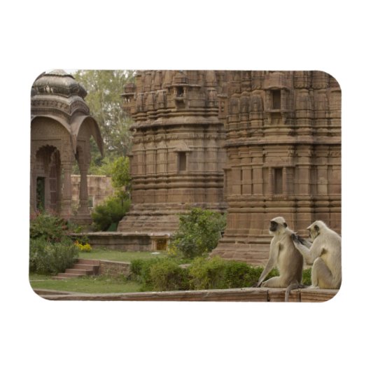 Magnet Flexible Hanuman Langurs ou noir, commun ou gris (Horizontal)