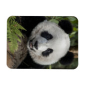 Magnet Flexible Happy young panda (Horizontal)
