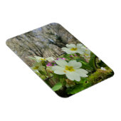 Magnet Flexible Harbinger du printemps (Côté Droit)