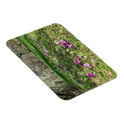 Magnet Flexible Harbinger du printemps (Côté Droit)