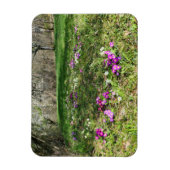 Magnet Flexible Harbinger du printemps (Vertical)